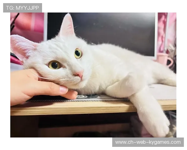 ÃÓ-ÛË¢½ã¥Ê++Ã¥°+¦¦++¢¦ÕÀÔ+¬í¦+¦+¦Í«ðÃí¦